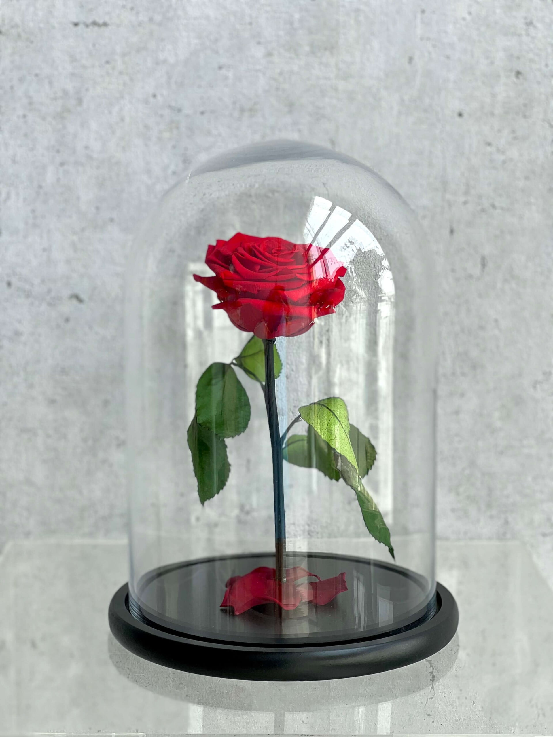 Forever Rose Red