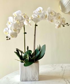 White Artificial Orchids