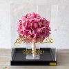 Cymbidium for you